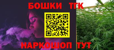 индика Ликино-Дулёво