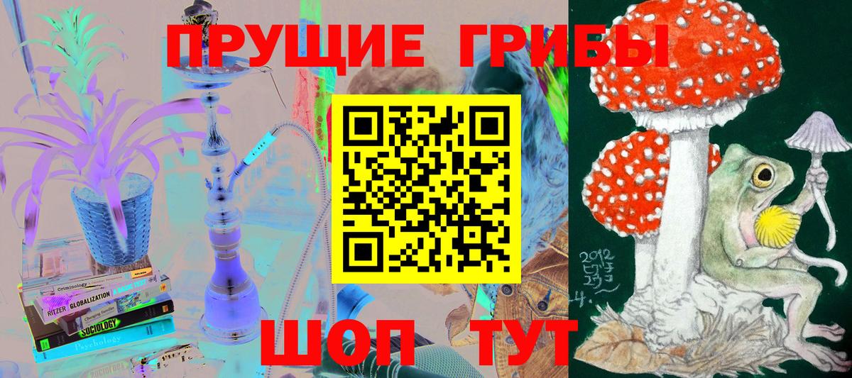 Галлюциногенные грибы прущие грибы Дивногорск
